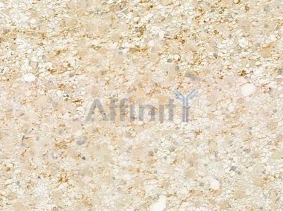 ATXN7 Antibody - DF9233 at 1/100 staining human astrocytoma by IHC-P.