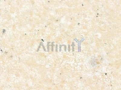 MRPL38 Antibody - DF9109 at 1/100 staining human astrocytoma by IHC-P.