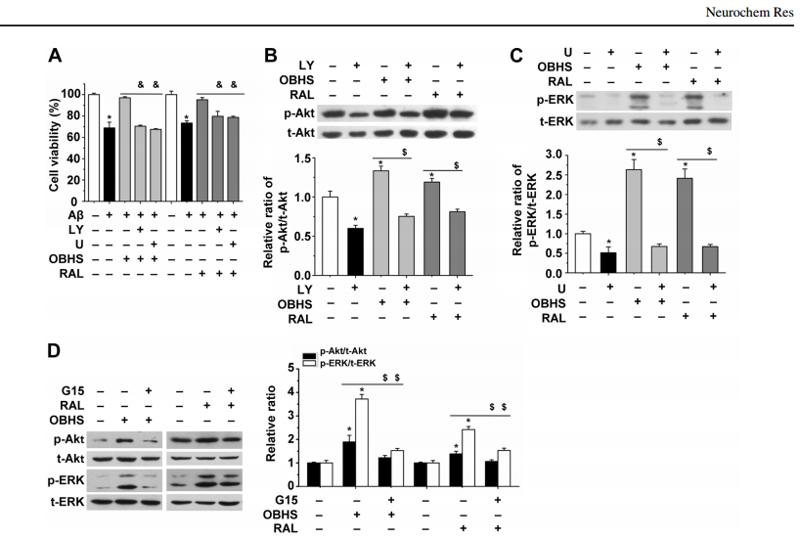 ERK1/2 Antibody - Fig.