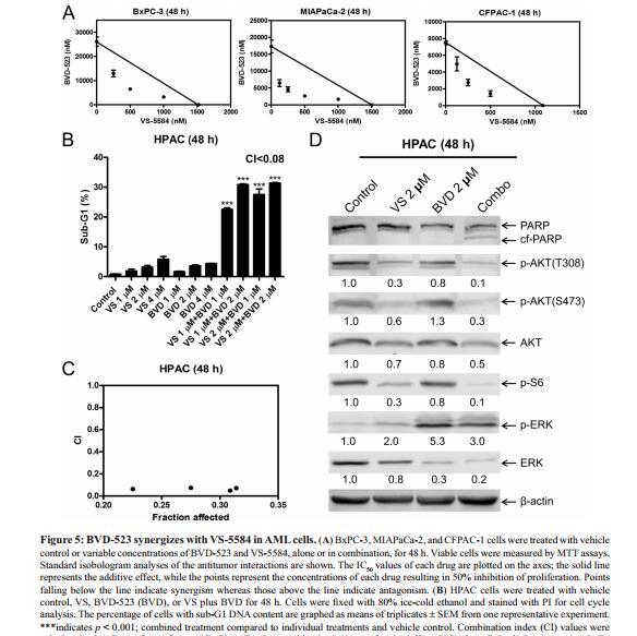 Phospho-AKT1/2/3 (Ser473) Antibody - Figure 5: BVD-523 synergizes with VS-5584 in AML cells.