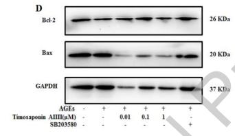 Bcl-2 Antibody - Figure 2 Effect of timosaponin AIII and positive drug on AGEs-induced osteoblast.