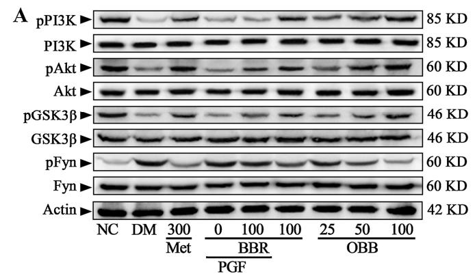 Phospho-AKT1/2/3 (Ser473) Antibody - Fig.