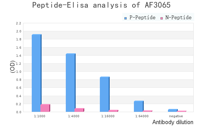 Phospho-C-RAF (Ser338) Antibody - peptide-ELISA analysis of AF3065.