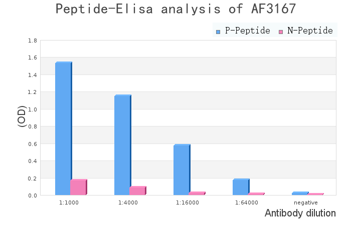 Phospho-NCF1/p47-phox (Ser359) Antibody - peptide-ELISA analysis of AF3167.