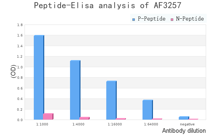 Phospho-CDC25B (Ser353) Antibody - peptide-ELISA analysis of AF3257.