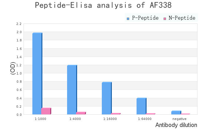 Phospho-RelB (Ser573) Antibody - peptide-ELISA analysis of AF3380.