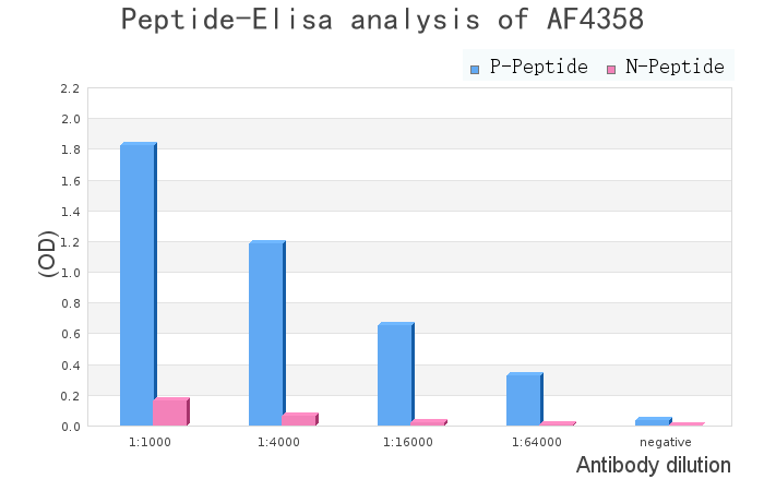 Phospho-Histone H4 (Tyr89) Antibody - peptide-ELISA analysis of AF4358.