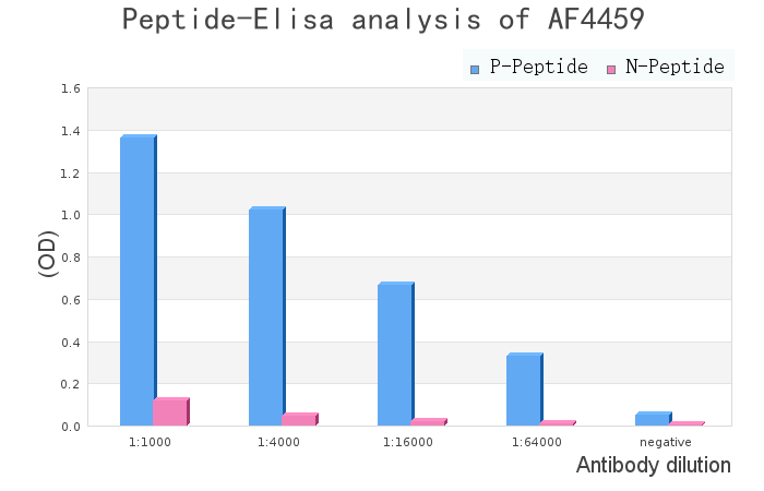 Phospho-CDC20 (Ser51) Antibody - peptide-ELISA analysis of AF4459.