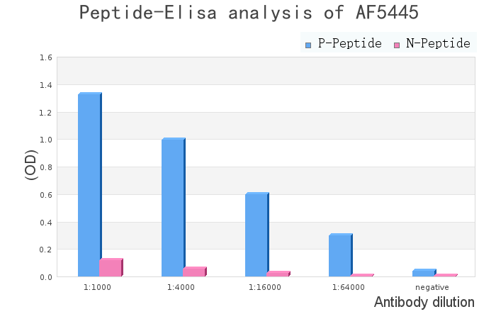 Phospho-MYPT1 (Thr853) Antibody - peptide-ELISA analysis of AF5445.