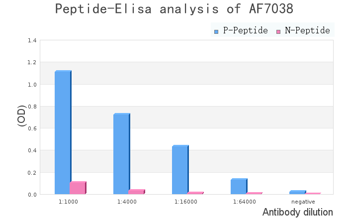 Phospho-CUL4A (Ser40) Antibody - peptide-ELISA analysis of AF7038.