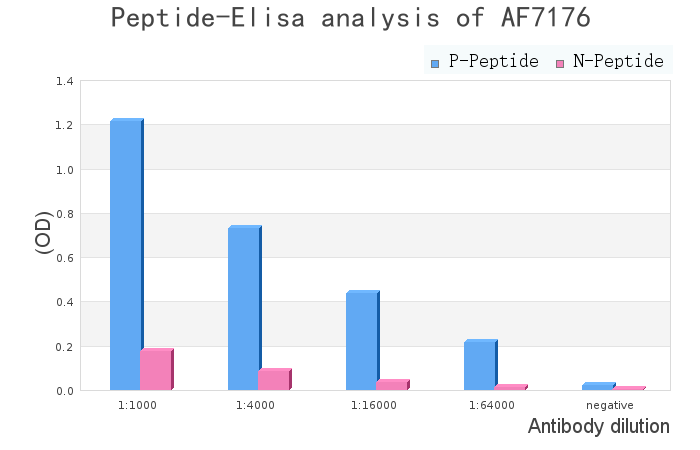 Phospho-CRYAB (Ser19) Antibody - peptide-ELISA analysis of AF7176.