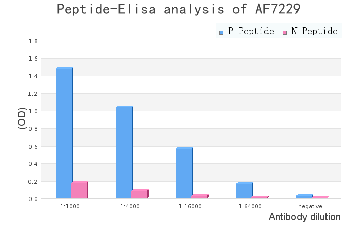 Phospho-PKM2 (Tyr370) Antibody - peptide-ELISA analysis of AF7229.