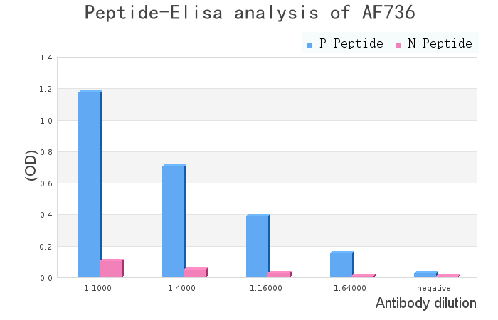 Phospho-FOXM1 (Thr600) Antibody - peptide-ELISA analysis of AF7360.