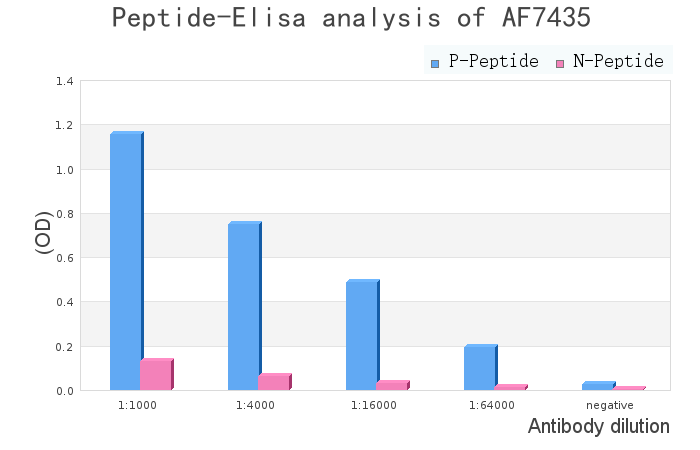 Phospho-Myt1 (Ser120) Antibody - peptide-ELISA analysis of AF7435.