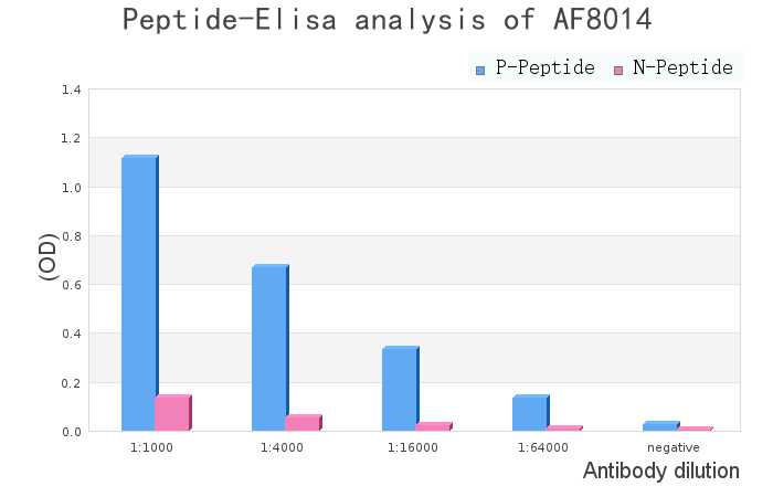 Phospho-NF kappaB p105/p50 (Ser923) Antibody - peptide-ELISA analysis of AF8014.