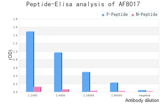 Phospho-PKA alpha  CAT (Ser339) Antibody - peptide-ELISA analysis of AF8017.