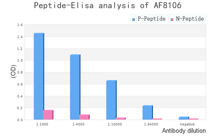 Phospho-Caveolin 2 (Tyr19) Antibody - peptide-ELISA analysis of AF8106.