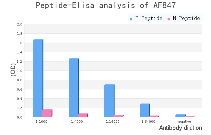 Phospho-DRP1 (Ser616) Antibody - peptide-ELISA analysis of AF8470.