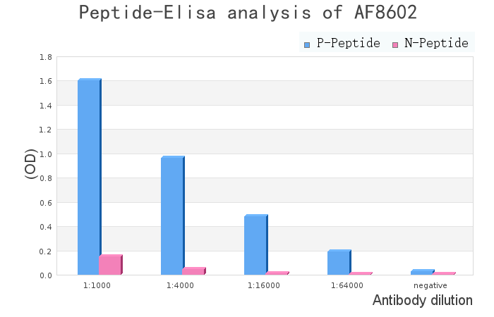Phospho-CKB (Ser199) Antibody - peptide-ELISA analysis of AF8602.