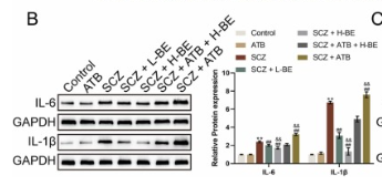 IL6 Antibody - Fig.